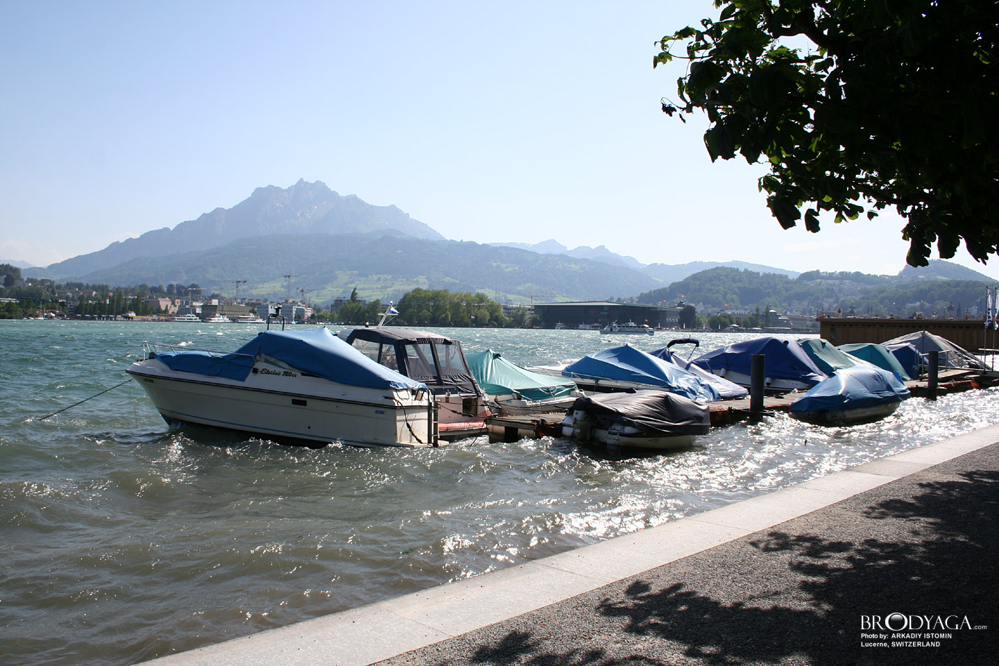 Lucerne